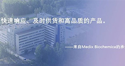 AMP 2022