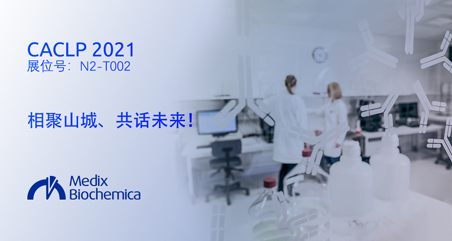 AMP 2022