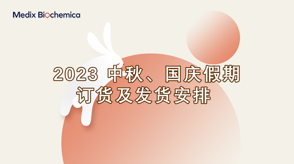 AMP 2022