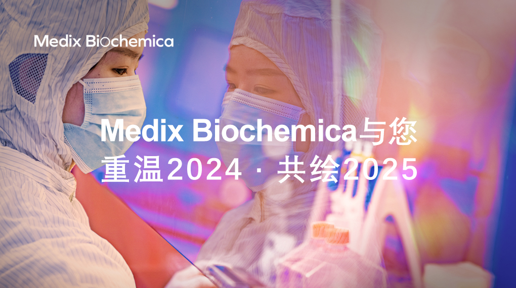 AMP 2022
