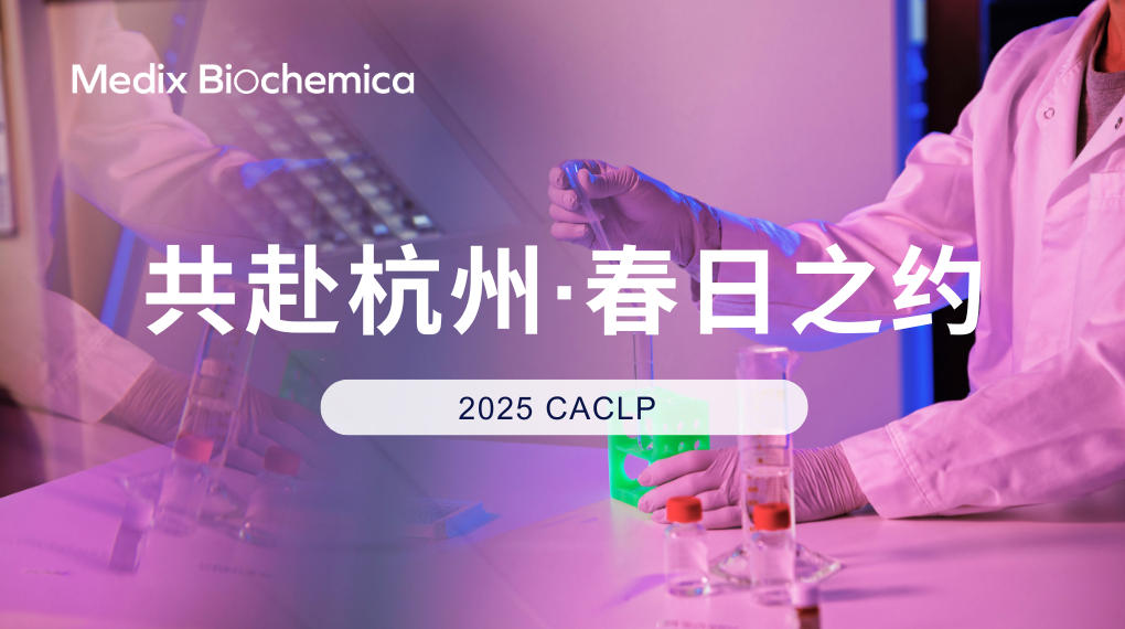AMP 2022